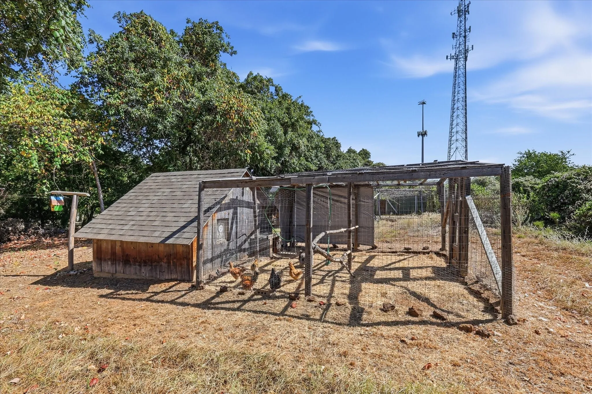 Chicken House 2