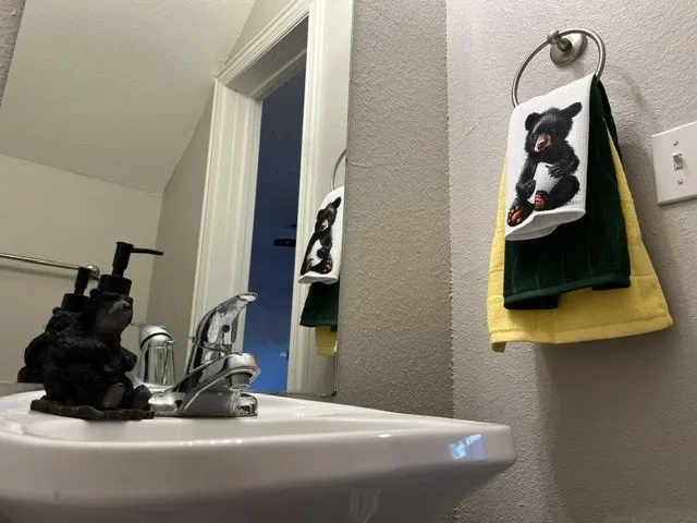 Downstairs Bathroom #5