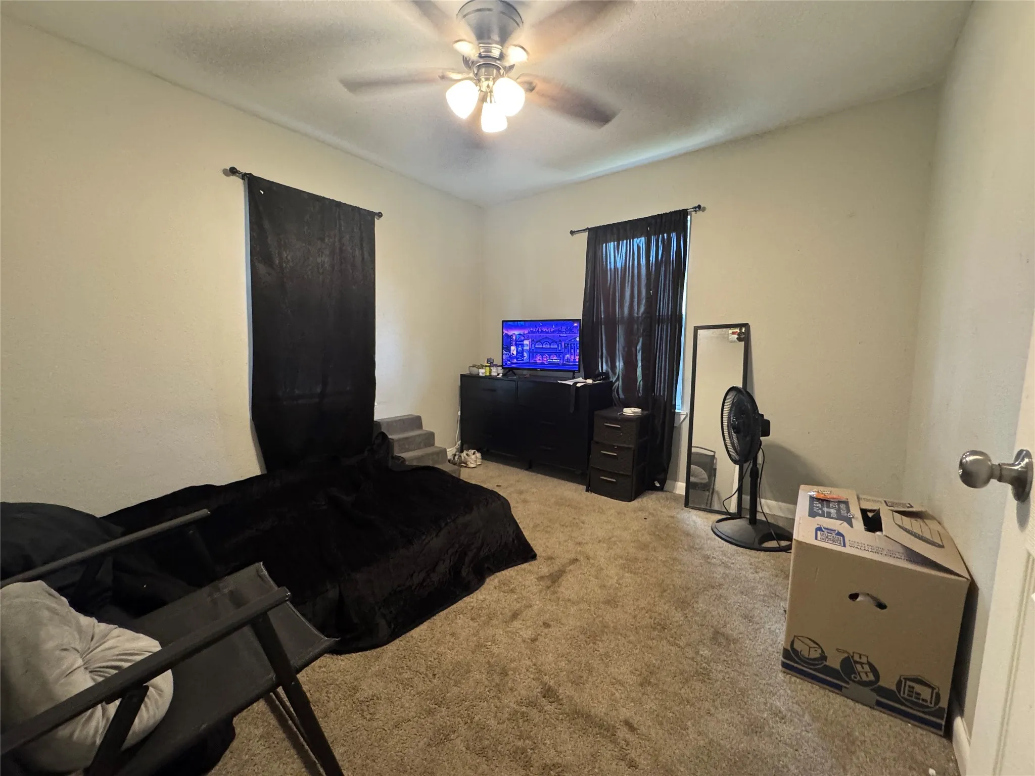 Carpeted room featuring a ceiling fan with integrated lighting, two windows, and a light-toned wall finish