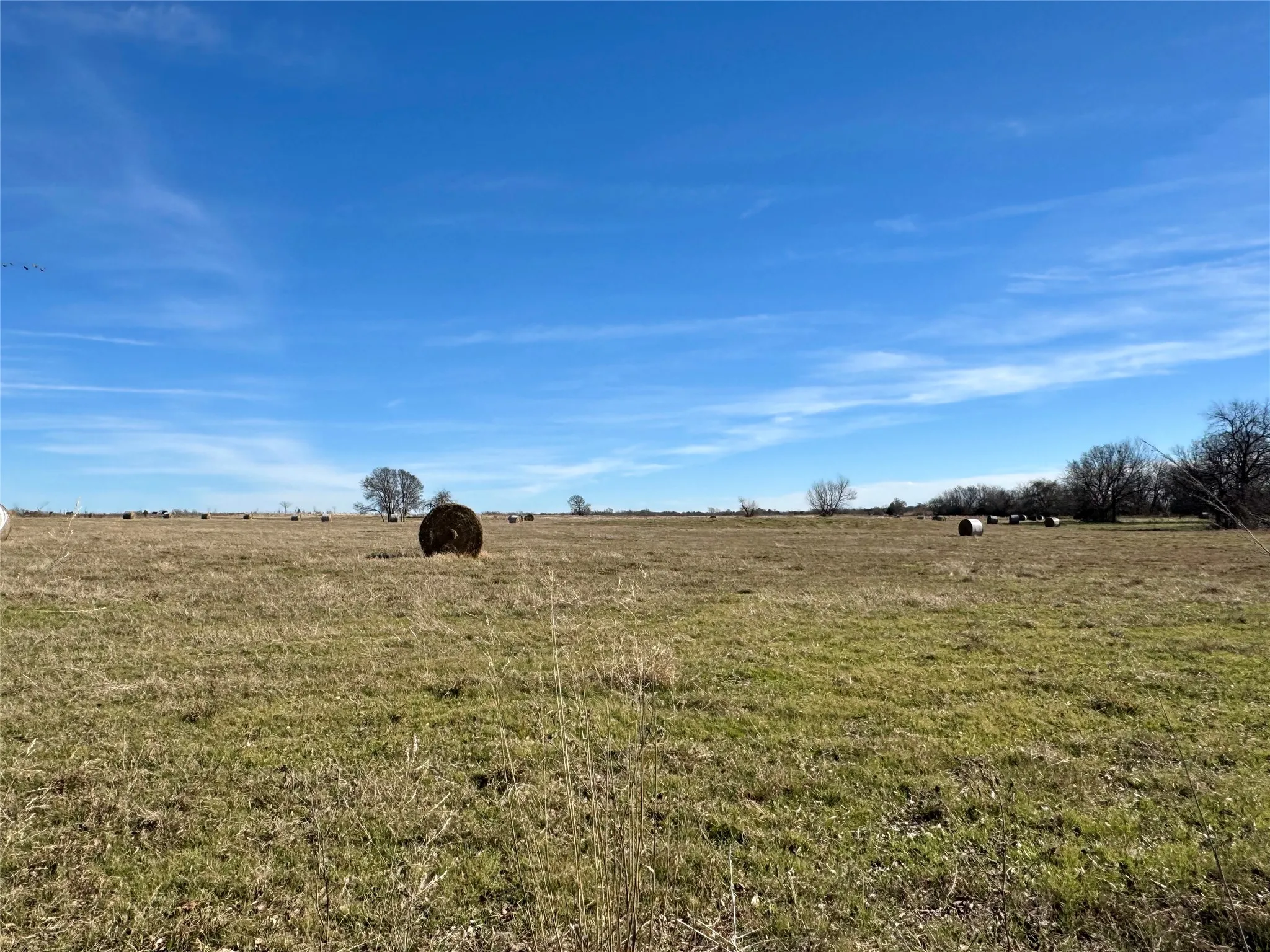 Unimproved Land For Sale in Hunt County , TBD County Road 1043 Lot 2, Celeste, Texas 75423, 0, 0, Garage spaces, 0 Sqft, built in 0, mls#21328043, Real Estate Agent in Celeste, Homes For Sale in Hunt county, Homes For Sale in Celeste, Realtor in Celeste Texas, Real Estate Brokerage Independent Realty Texas, Luminita Cordes Realtor