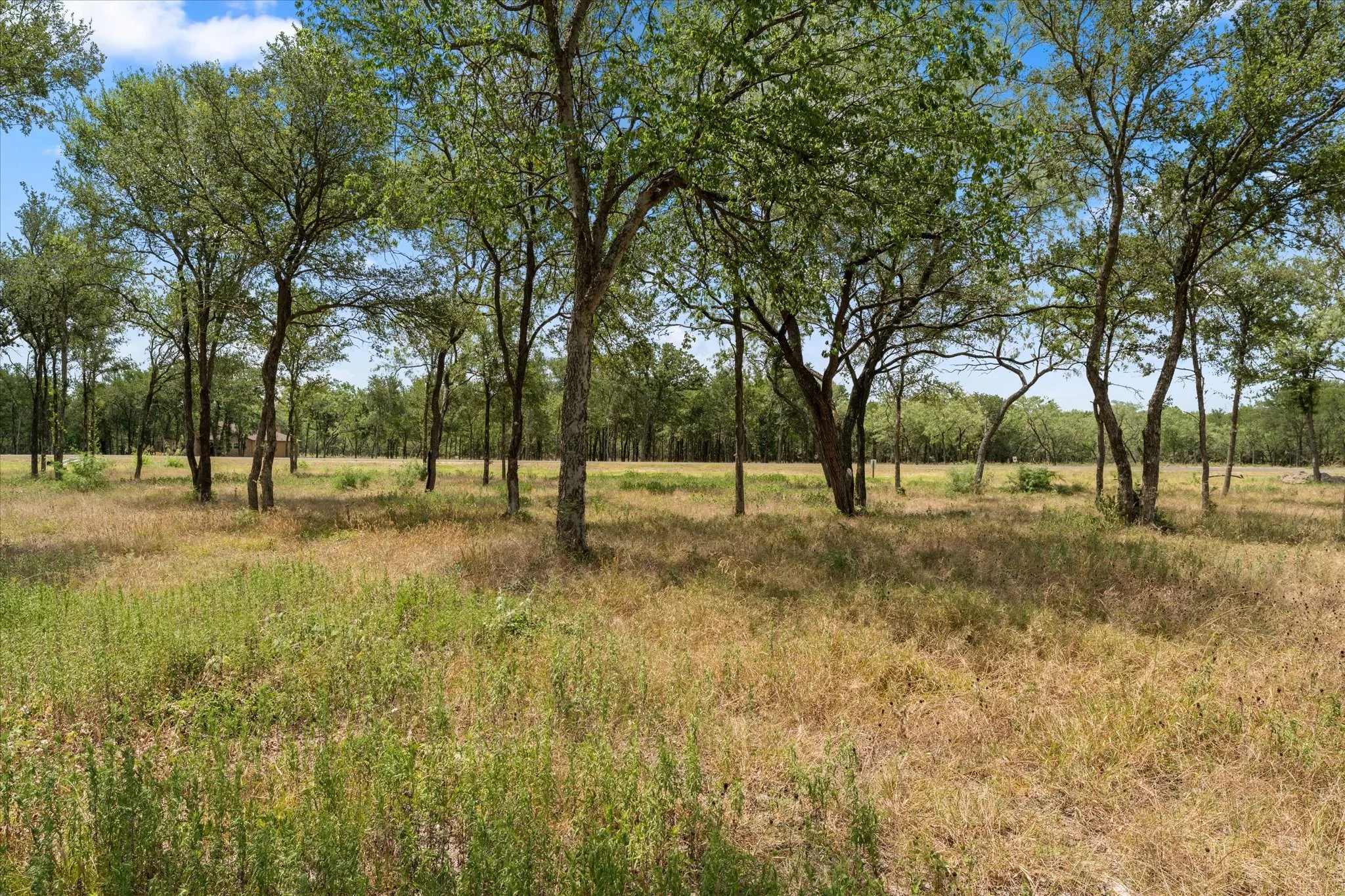 Unimproved Land For Sale in Navarro County , Lot 57 Little Pin Oak Way, Richland, Texas 76681, 0, 0, Garage spaces, 0 Sqft, built in 0, Price $75,000, mls#21326413, Real Estate Agent in Richland, Homes For Sale in Navarro county, Homes For Sale in Richland, Realtor in Richland Texas, Real Estate Brokerage Independent Realty Texas, Luminita Cordes Realtor