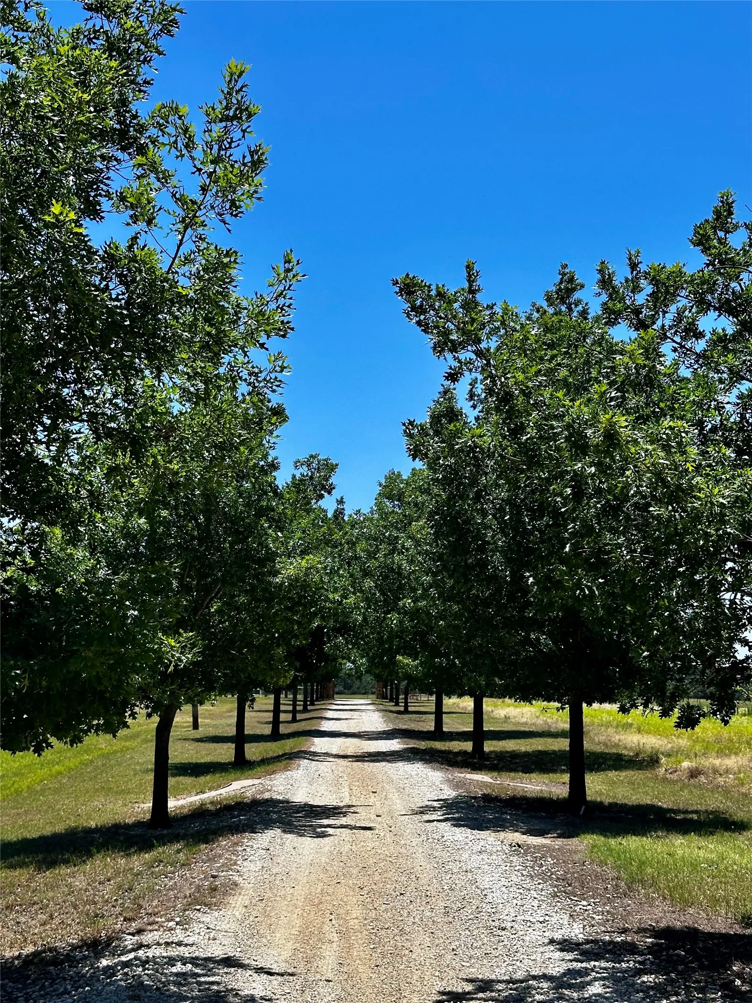 Farm For Sale in Callahan County , 7846 County Road 452, Cross Plains, Texas 76443, 3 Bedroom, 3 Bathroom, 2 Garage spaces, 3,996 Sqft, built in 2017, mls#21328064, Real Estate Agent in Cross Plains, Homes For Sale in Callahan county, Homes For Sale in Cross Plains, Realtor in Cross Plains Texas, Real Estate Brokerage Independent Realty Texas, Luminita Cordes Realtor