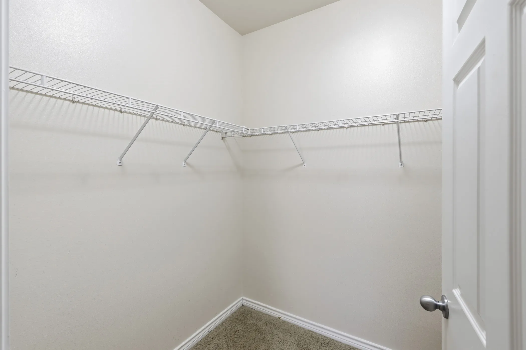 Walk-in closet featuring light-colored walls, carpet flooring, baseboard trim, and a white wire shelving system
