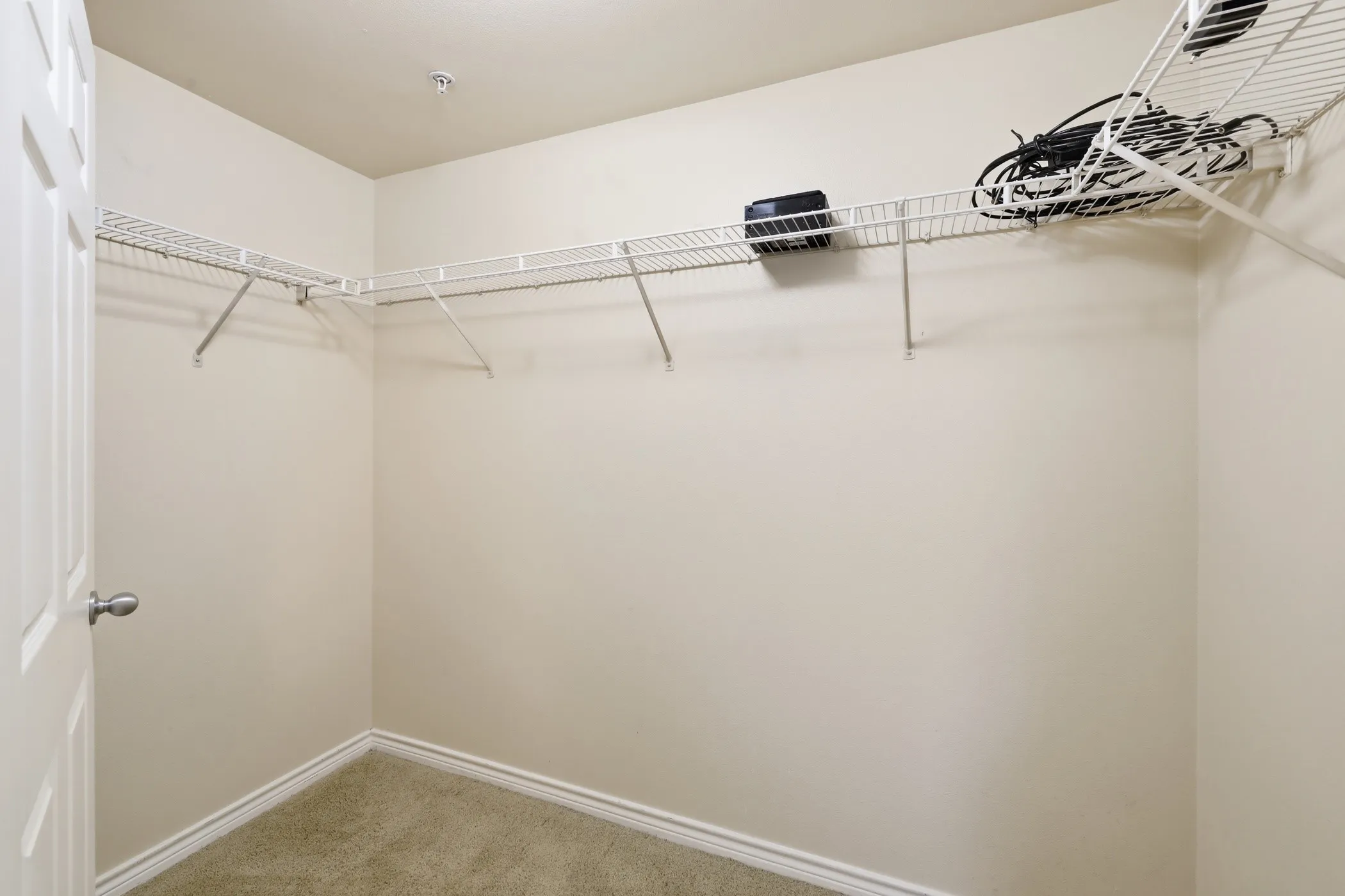 Walk-in closet featuring wire shelving, neutral carpeting, and a crisp white door with a brushed nickel knob