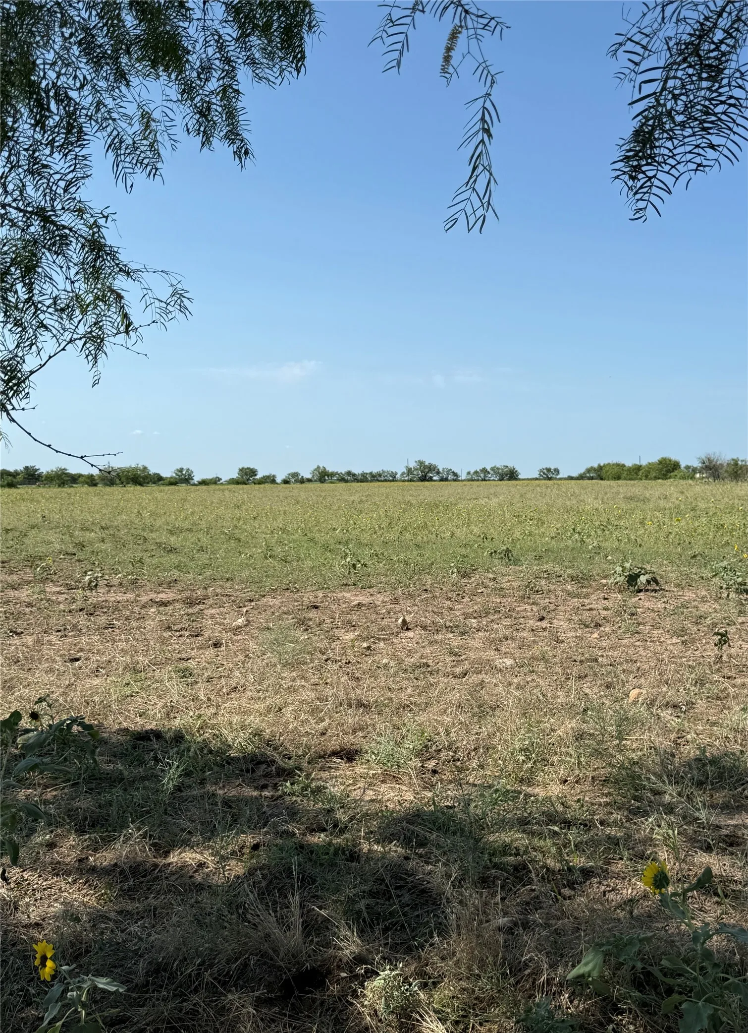 Improved Land For Sale in Callahan County , 2747 County Road 103 N, Abilene, Texas 79601, 0, 0, Garage spaces, 0 Sqft, built in 2023, mls#21328072, Real Estate Agent in Abilene, Homes For Sale in Callahan county, Homes For Sale in Abilene, Realtor in Abilene Texas, Real Estate Brokerage Independent Realty Texas, Luminita Cordes Realtor