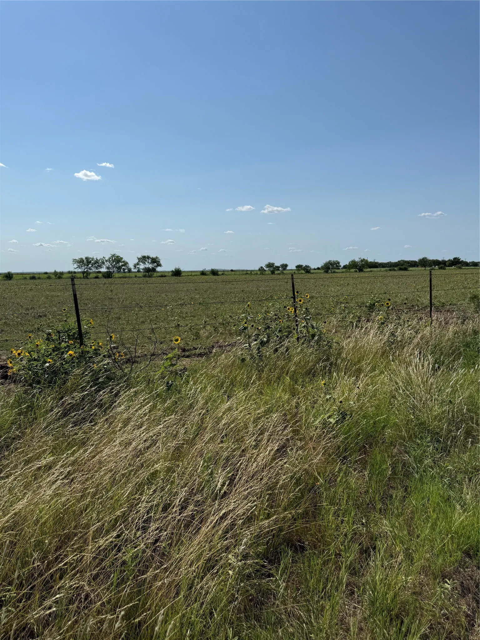 Improved Land For Sale in Callahan County , 2747 County Road 103 N, Abilene, Texas 79601, 0, 0, Garage spaces, 0 Sqft, built in 2023, mls#21328072, Real Estate Agent in Abilene, Homes For Sale in Callahan county, Homes For Sale in Abilene, Realtor in Abilene Texas, Real Estate Brokerage Independent Realty Texas, Luminita Cordes Realtor