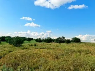 Expansive open field featuring natural grasses and scattered mature trees, under a broad blue sky with clouds
