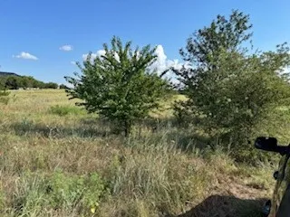 Improved Land For Sale in Cooke County , 0000 County Road 4000, Gainesville, Texas 76240, 0, 0, Garage spaces, 0 Sqft, built in 0, Price $159,900, mls#21328071, Real Estate Agent in Gainesville, Homes For Sale in Cooke county, Homes For Sale in Gainesville, Realtor in Gainesville Texas, Real Estate Brokerage Independent Realty Texas, Luminita Cordes Realtor