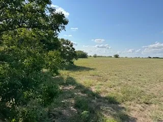 Expansive open field featuring natural grasses and scattered mature trees