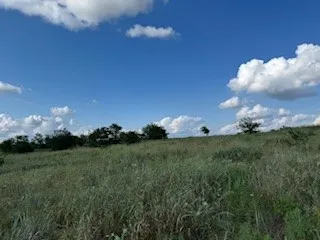 Expansive green landscape featuring varied terrain and scattered trees under a blue sky with white clouds
