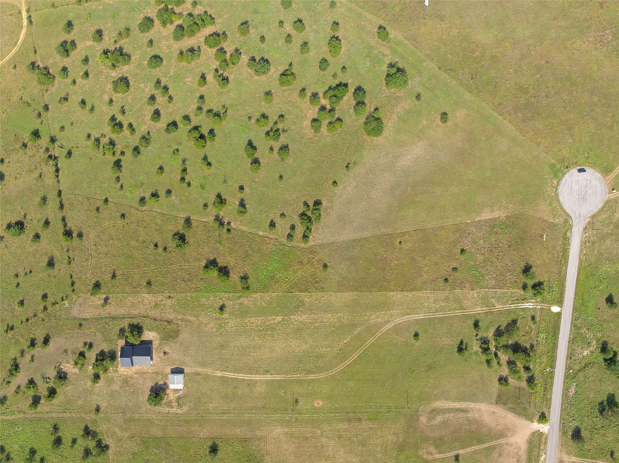 Expansive green landscape featuring varied terrain and scattered trees