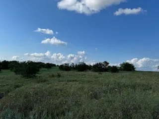 Expansive open land featuring natural grass and scattered mature trees under a wide-open sky