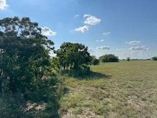 Expansive open field with scattered trees and natural vegetation