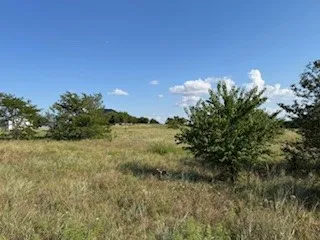 Expansive open field with natural grass and scattered mature trees