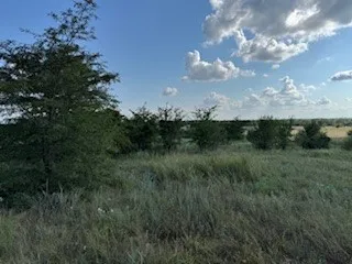 Expansive natural landscape featuring mature trees and varied vegetation