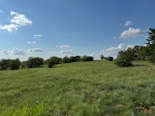 Expansive green field with natural grass and scattered shrubbery, featuring a clear blue sky with white cumulus clouds