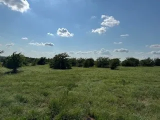 Expansive green field with scattered trees and a clear blue sky