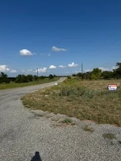 Gravel road bordered by natural grass and mature trees