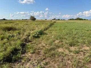 Expansive undeveloped land featuring natural vegetation and varying grass cover