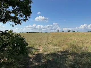 Expansive open field with natural grass and a clear blue sky
