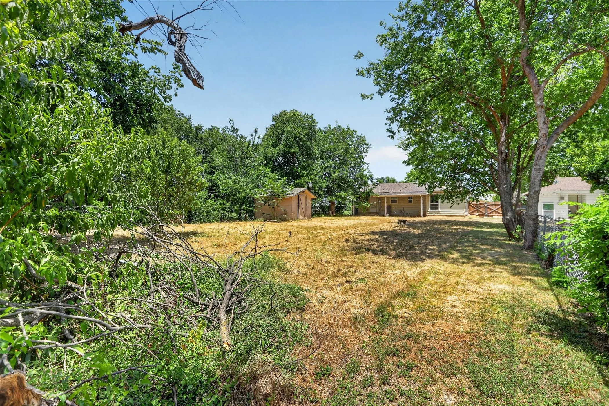 Expansive backyard featuring mature trees, a detached storage shed, and a privacy fence