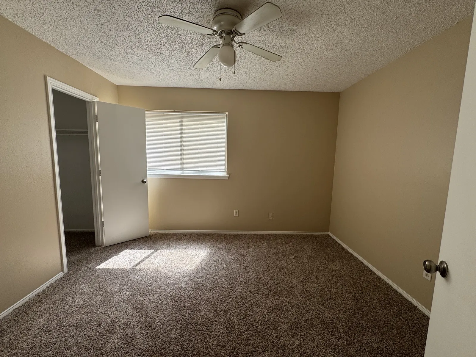 Neutral-toned room featuring textured carpeting, a ceiling fan with light fixture, and a window with horizontal blinds