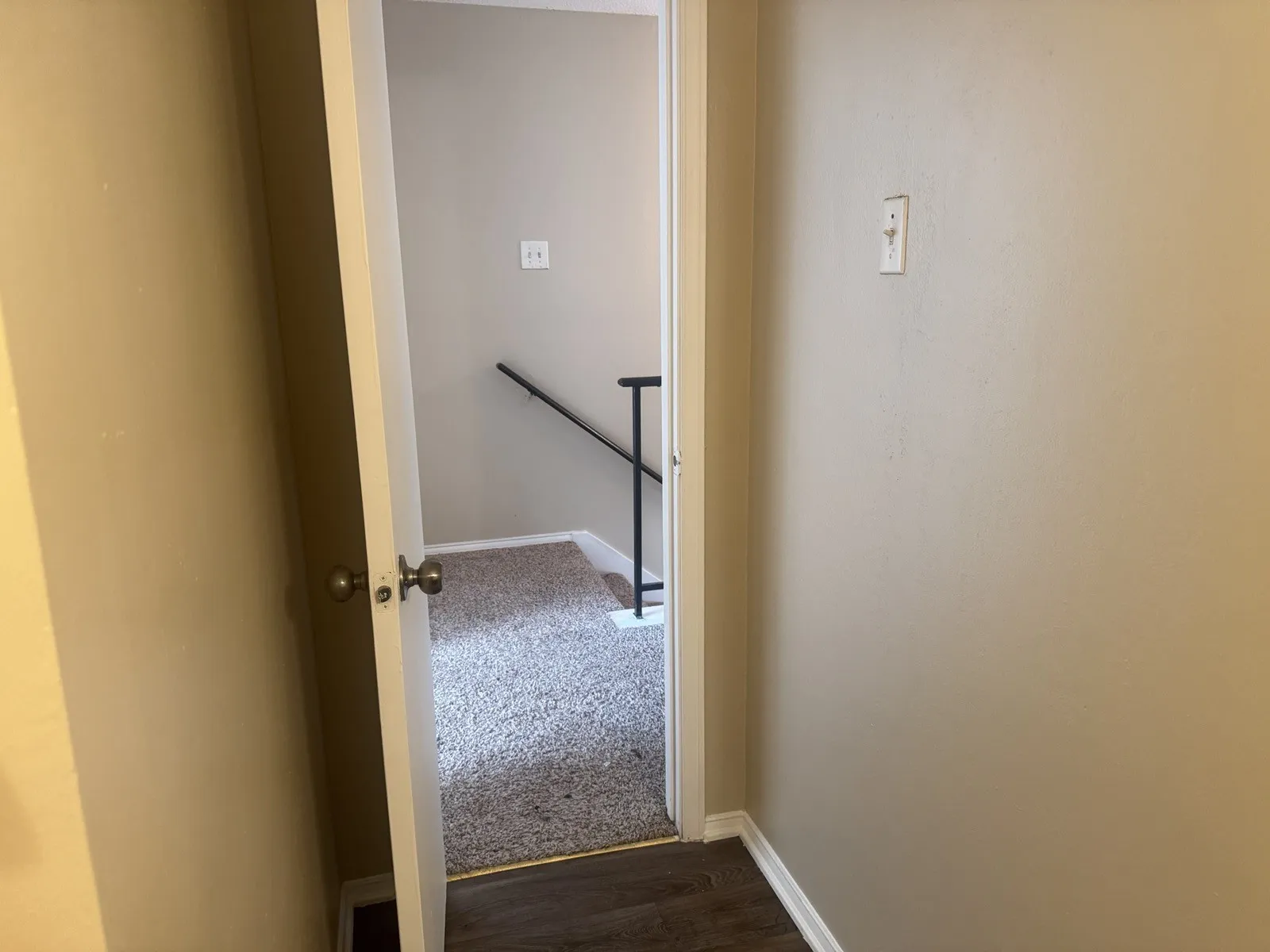 Carpeted staircase with a dark handrail, complemented by neutral wall tones