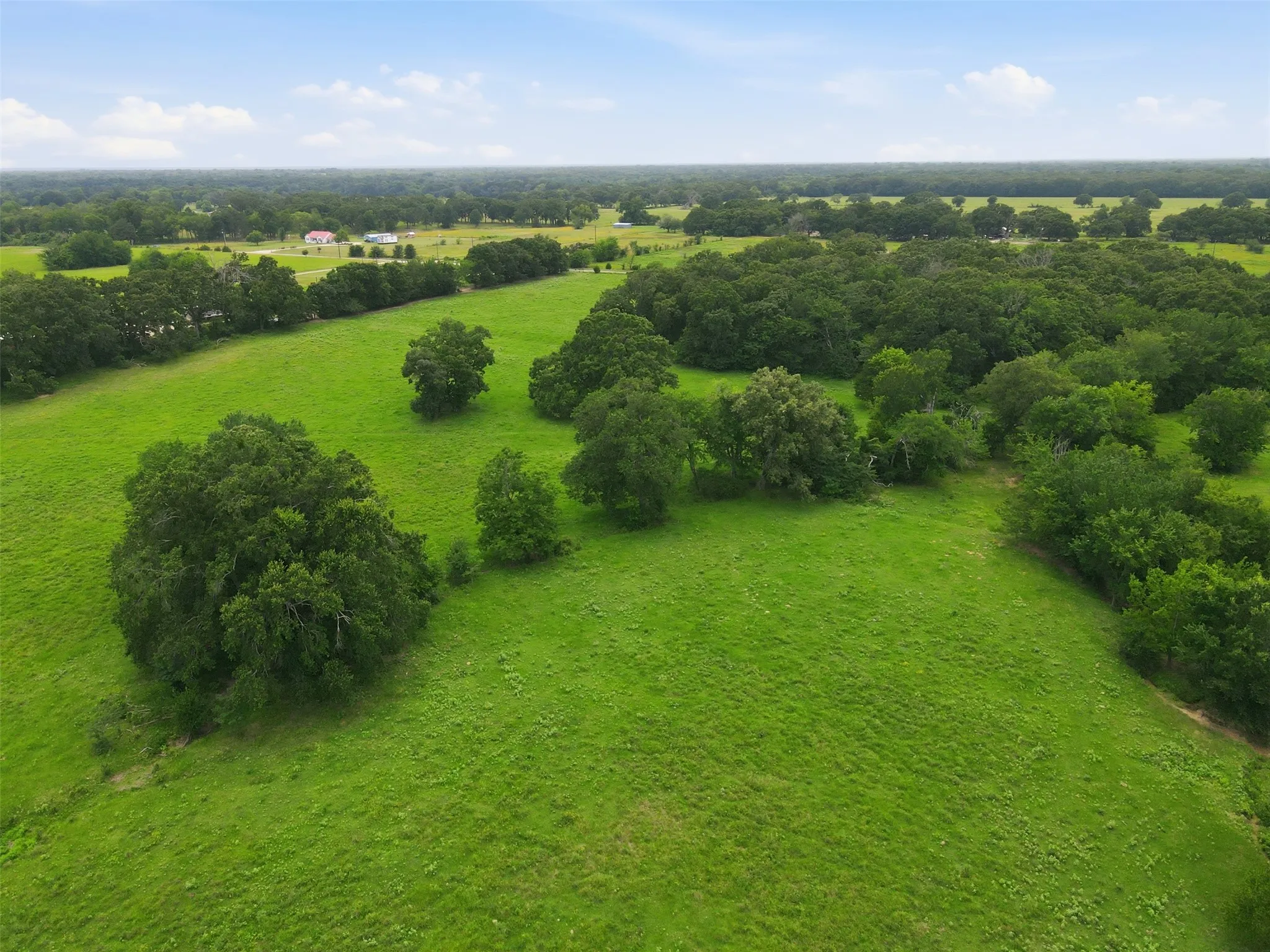 Unimproved Land For Sale in Hopkins County , TBD County Road 1151, Cumby, Texas 75433, 0, 0, Garage spaces, 0 Sqft, built in 0, Price $290,000, mls#21328116, Real Estate Agent in Cumby, Homes For Sale in Hopkins county, Homes For Sale in Cumby, Realtor in Cumby Texas, Real Estate Brokerage Independent Realty Texas, Luminita Cordes Realtor