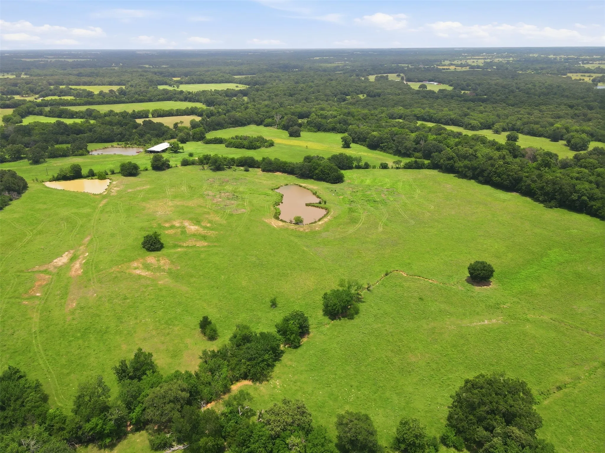 Unimproved Land For Sale in Hopkins County , 00 County Road 1151, Cumby, Texas 75433, 0, 0, Garage spaces, 0 Sqft, built in 0, Price $290,000, mls#21328058, Real Estate Agent in Cumby, Homes For Sale in Hopkins county, Homes For Sale in Cumby, Realtor in Cumby Texas, Real Estate Brokerage Independent Realty Texas, Luminita Cordes Realtor