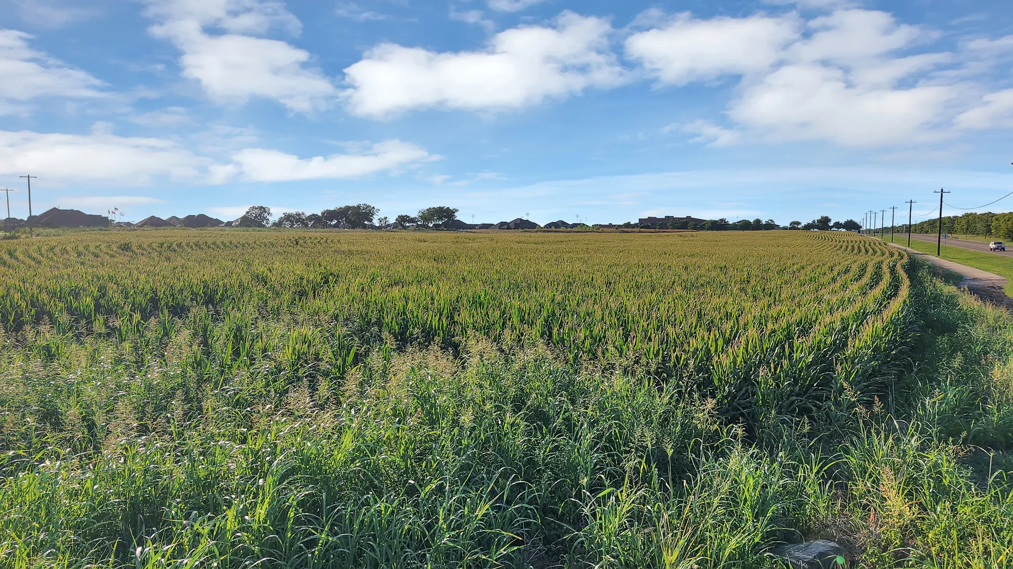 Unimproved Land For Sale in Grayson County , TBD N Waco Street, Van Alstyne, Texas 75495, 0, 0, Garage spaces, 0 Sqft, built in 0, mls#21326986, Real Estate Agent in Van Alstyne, Homes For Sale in Grayson county, Homes For Sale in Van Alstyne, Realtor in Van Alstyne Texas, Real Estate Brokerage Independent Realty Texas, Luminita Cordes Realtor