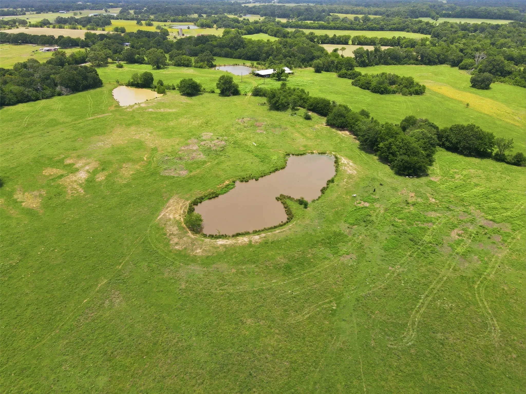 Unimproved Land For Sale in Hopkins County , 0000 County Road 1151, Cumby, Texas 75433, 0, 0, Garage spaces, 0 Sqft, built in 0, Price $304,500, mls#21328088, Real Estate Agent in Cumby, Homes For Sale in Hopkins county, Homes For Sale in Cumby, Realtor in Cumby Texas, Real Estate Brokerage Independent Realty Texas, Luminita Cordes Realtor
