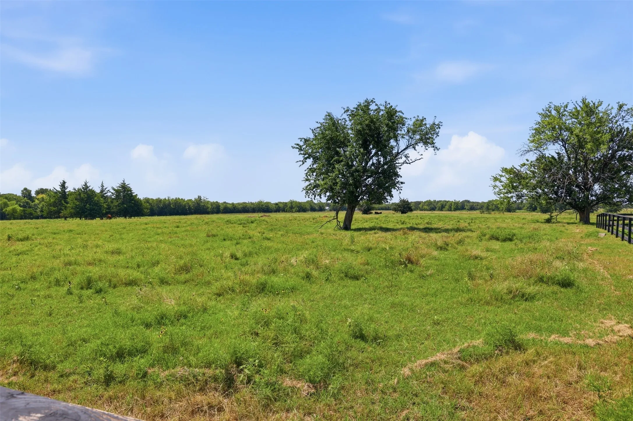 Single Family Residence For Sale in Hopkins County , 3344 County Road 3512, Dike, Texas 75437, 4 Bedroom, 3 Bathroom, 3 Garage spaces, 2,814 Sqft, built in 2022, Price $899,000, mls#21328105, Real Estate Agent in Dike, Homes For Sale in Hopkins county, Homes For Sale in Dike, Realtor in Dike Texas, Real Estate Brokerage Independent Realty Texas, Luminita Cordes Realtor