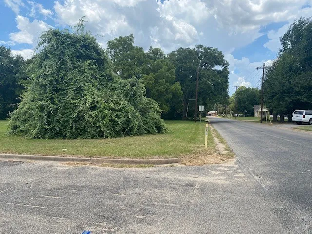 Unimproved Land For Sale in Henderson County , 201 W College Street, Athens, Texas 75751, 0, 0, Garage spaces, 0 Sqft, built in 0, Price $75,000, mls#21328180, Real Estate Agent in Athens, Homes For Sale in Henderson county, Homes For Sale in Athens, Realtor in Athens Texas, Real Estate Brokerage Independent Realty Texas, Luminita Cordes Realtor