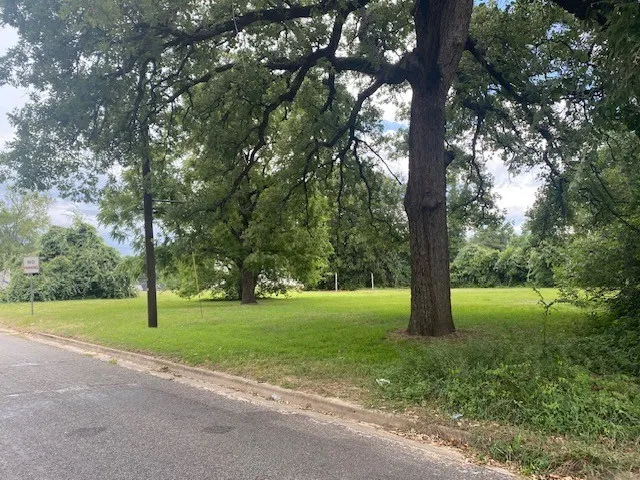 Unimproved Land For Sale in Henderson County , 201 W College Street, Athens, Texas 75751, 0, 0, Garage spaces, 0 Sqft, built in 0, Price $75,000, mls#21328180, Real Estate Agent in Athens, Homes For Sale in Henderson county, Homes For Sale in Athens, Realtor in Athens Texas, Real Estate Brokerage Independent Realty Texas, Luminita Cordes Realtor