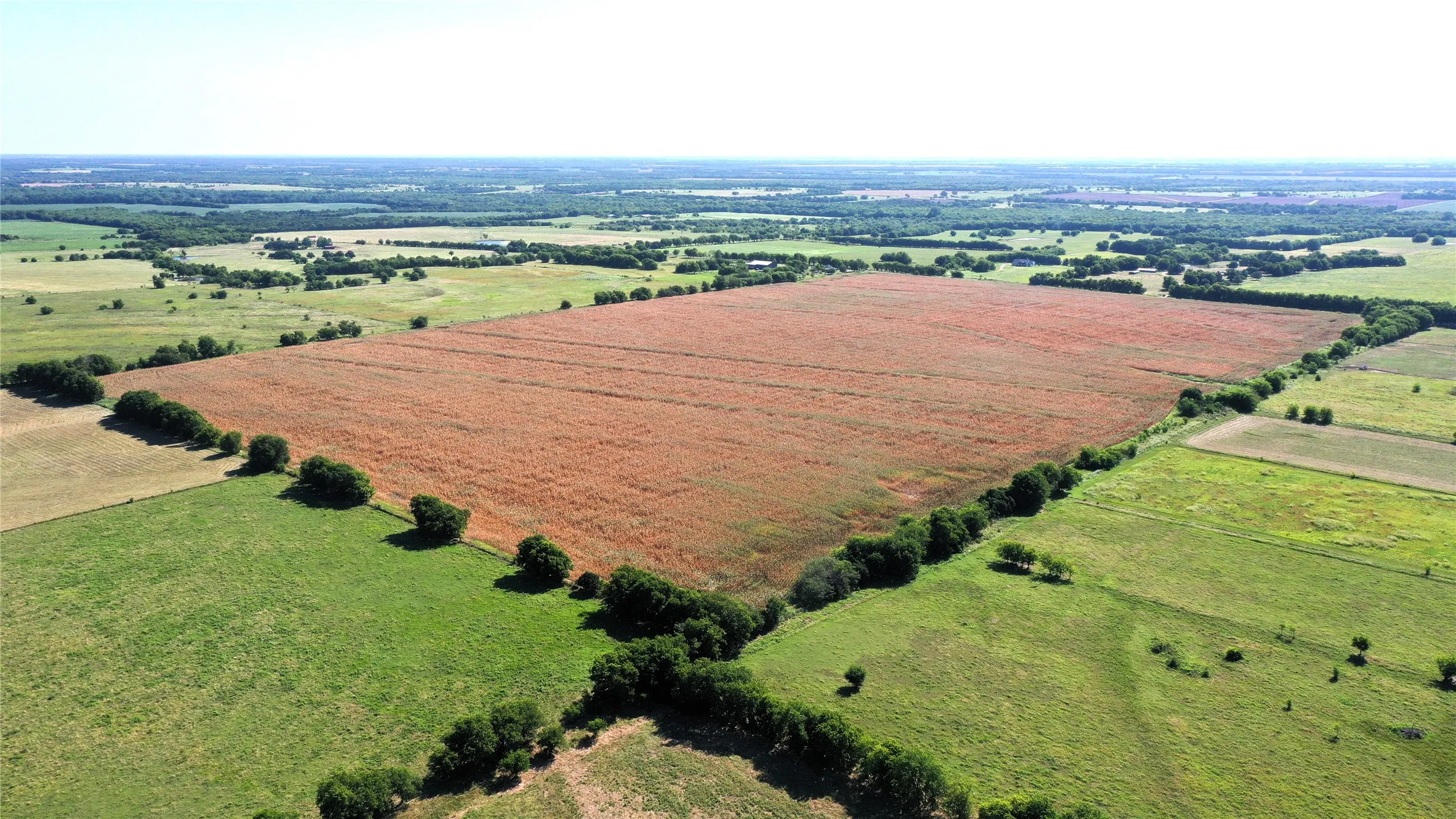Unimproved Land For Sale in Hunt County , TBD CR 4702, Commerce, Texas 75428, 0, 0, Garage spaces, 0 Sqft, built in 0, mls#21324229, Real Estate Agent in Commerce, Homes For Sale in Hunt county, Homes For Sale in Commerce, Realtor in Commerce Texas, Real Estate Brokerage Independent Realty Texas, Luminita Cordes Realtor