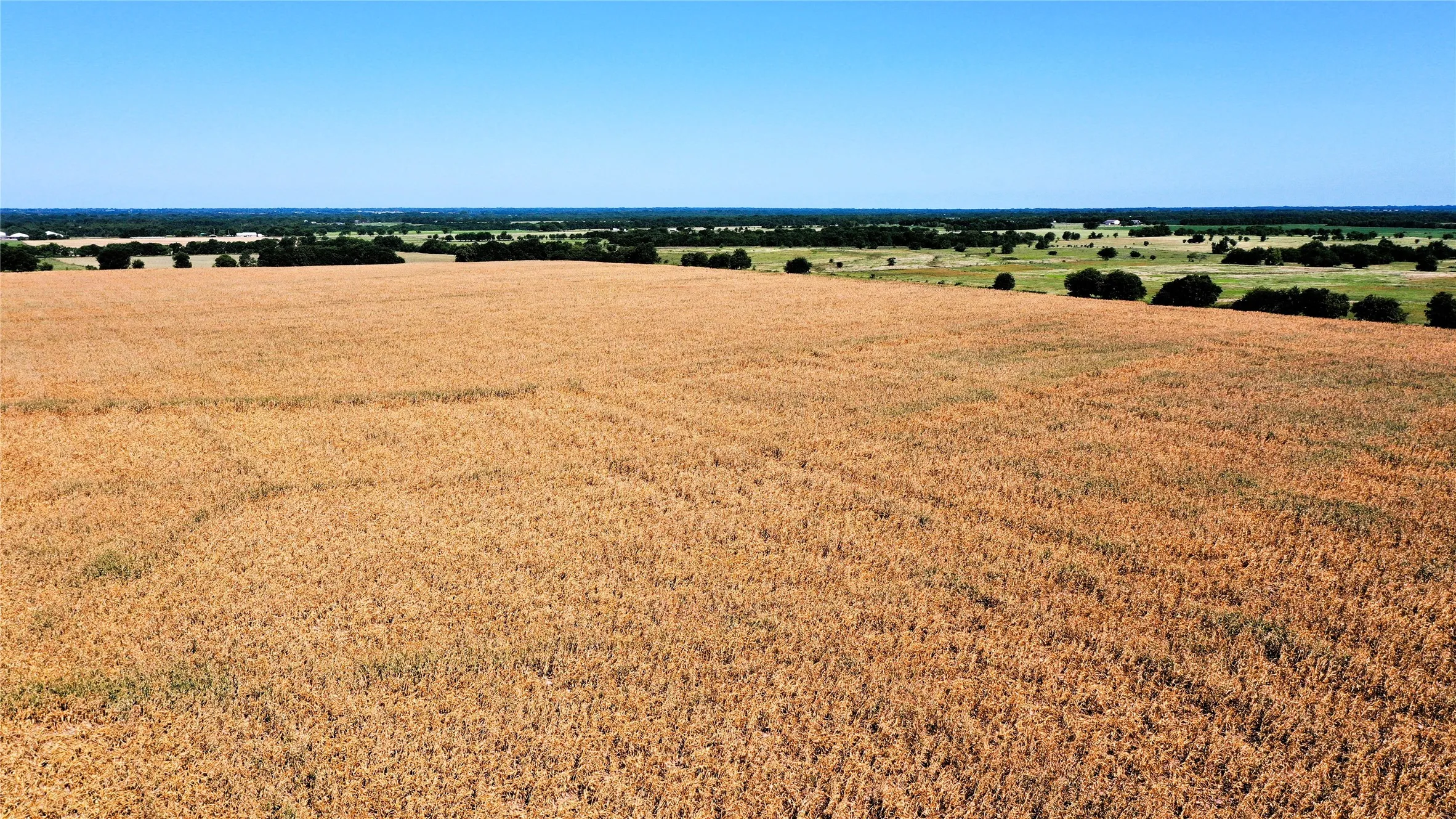 Unimproved Land For Sale in Hunt County , TBD CR 4702, Commerce, Texas 75428, 0, 0, Garage spaces, 0 Sqft, built in 0, mls#21324229, Real Estate Agent in Commerce, Homes For Sale in Hunt county, Homes For Sale in Commerce, Realtor in Commerce Texas, Real Estate Brokerage Independent Realty Texas, Luminita Cordes Realtor