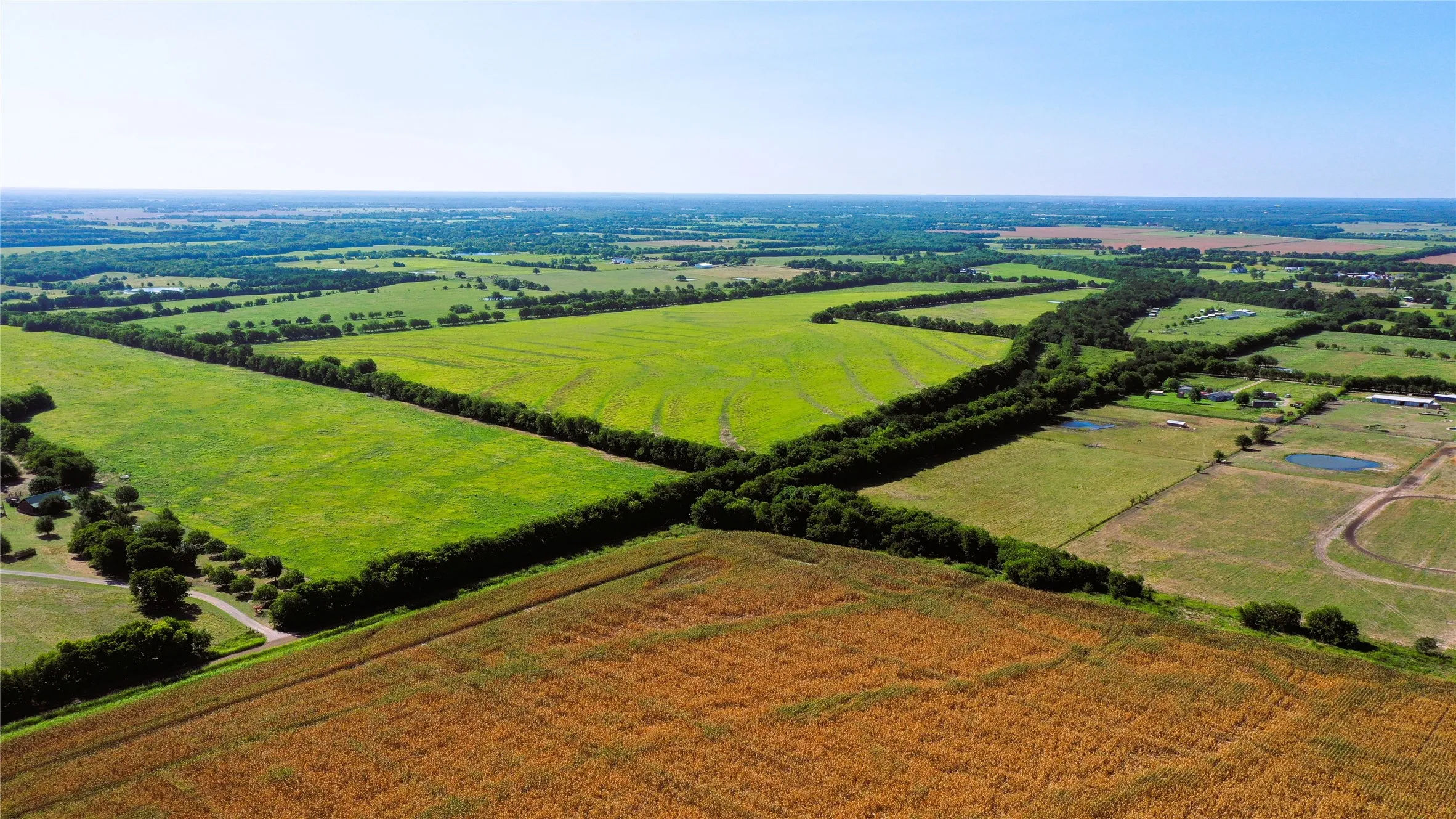 Unimproved Land For Sale in Hunt County , TBD CR 4702, Commerce, Texas 75428, 0, 0, Garage spaces, 0 Sqft, built in 0, mls#21324229, Real Estate Agent in Commerce, Homes For Sale in Hunt county, Homes For Sale in Commerce, Realtor in Commerce Texas, Real Estate Brokerage Independent Realty Texas, Luminita Cordes Realtor