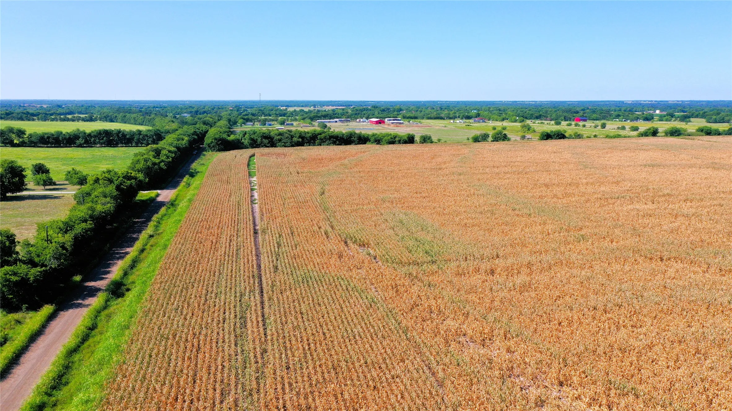 Unimproved Land For Sale in Hunt County , TBD CR 4702, Commerce, Texas 75428, 0, 0, Garage spaces, 0 Sqft, built in 0, mls#21324229, Real Estate Agent in Commerce, Homes For Sale in Hunt county, Homes For Sale in Commerce, Realtor in Commerce Texas, Real Estate Brokerage Independent Realty Texas, Luminita Cordes Realtor