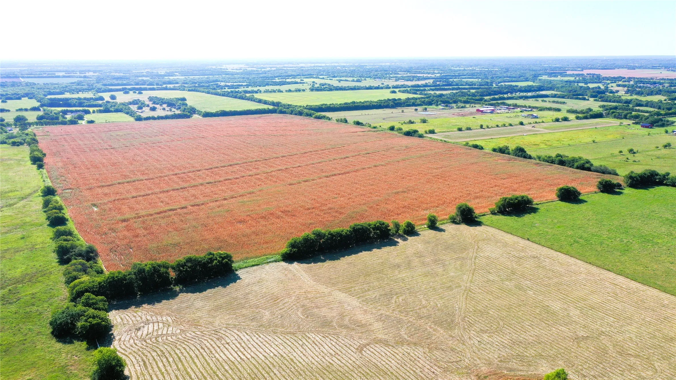 Unimproved Land For Sale in Hunt County , TBD CR 4702, Commerce, Texas 75428, 0, 0, Garage spaces, 0 Sqft, built in 0, mls#21324229, Real Estate Agent in Commerce, Homes For Sale in Hunt county, Homes For Sale in Commerce, Realtor in Commerce Texas, Real Estate Brokerage Independent Realty Texas, Luminita Cordes Realtor