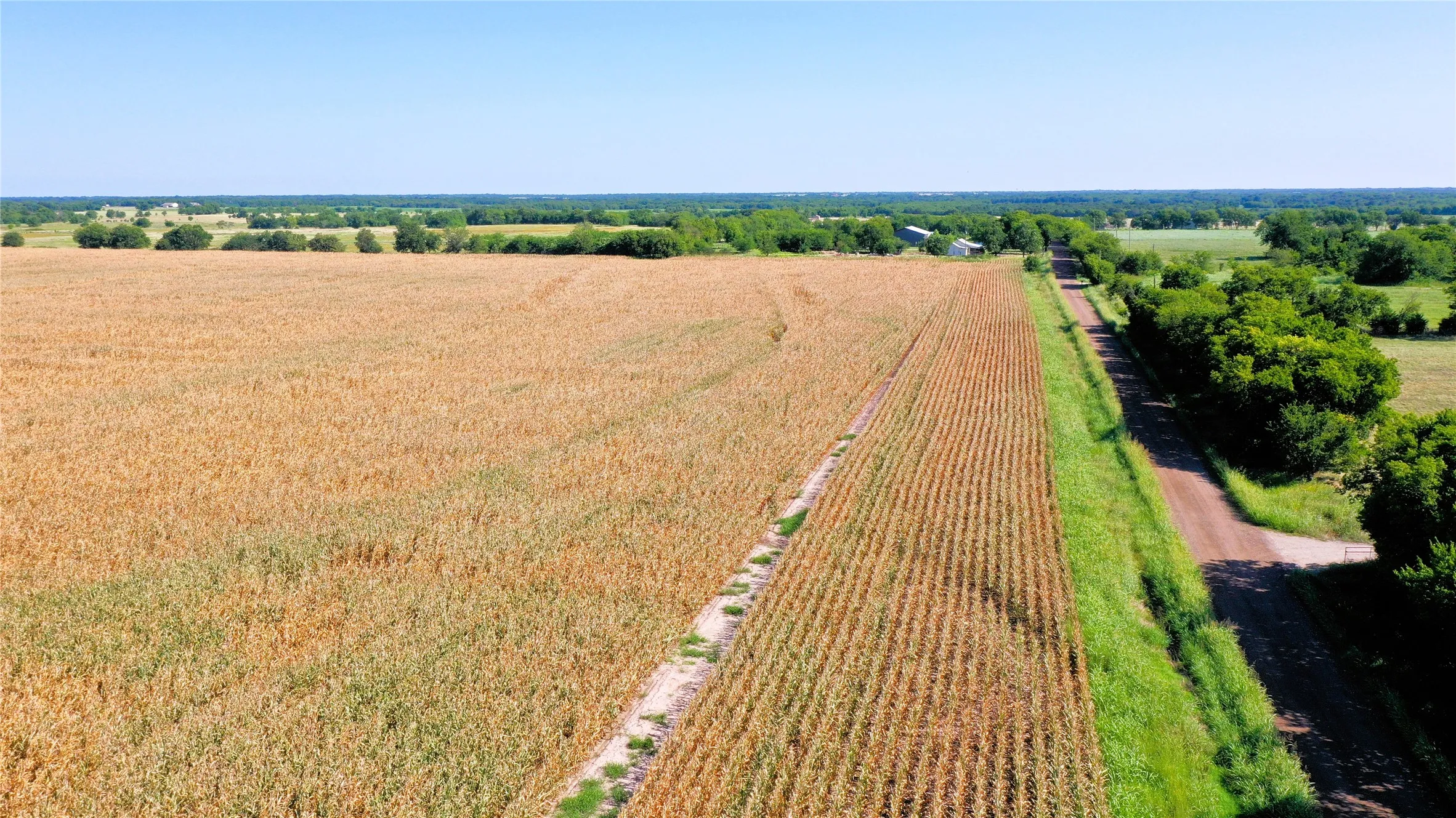 Unimproved Land For Sale in Hunt County , TBD CR 4702, Commerce, Texas 75428, 0, 0, Garage spaces, 0 Sqft, built in 0, mls#21324229, Real Estate Agent in Commerce, Homes For Sale in Hunt county, Homes For Sale in Commerce, Realtor in Commerce Texas, Real Estate Brokerage Independent Realty Texas, Luminita Cordes Realtor