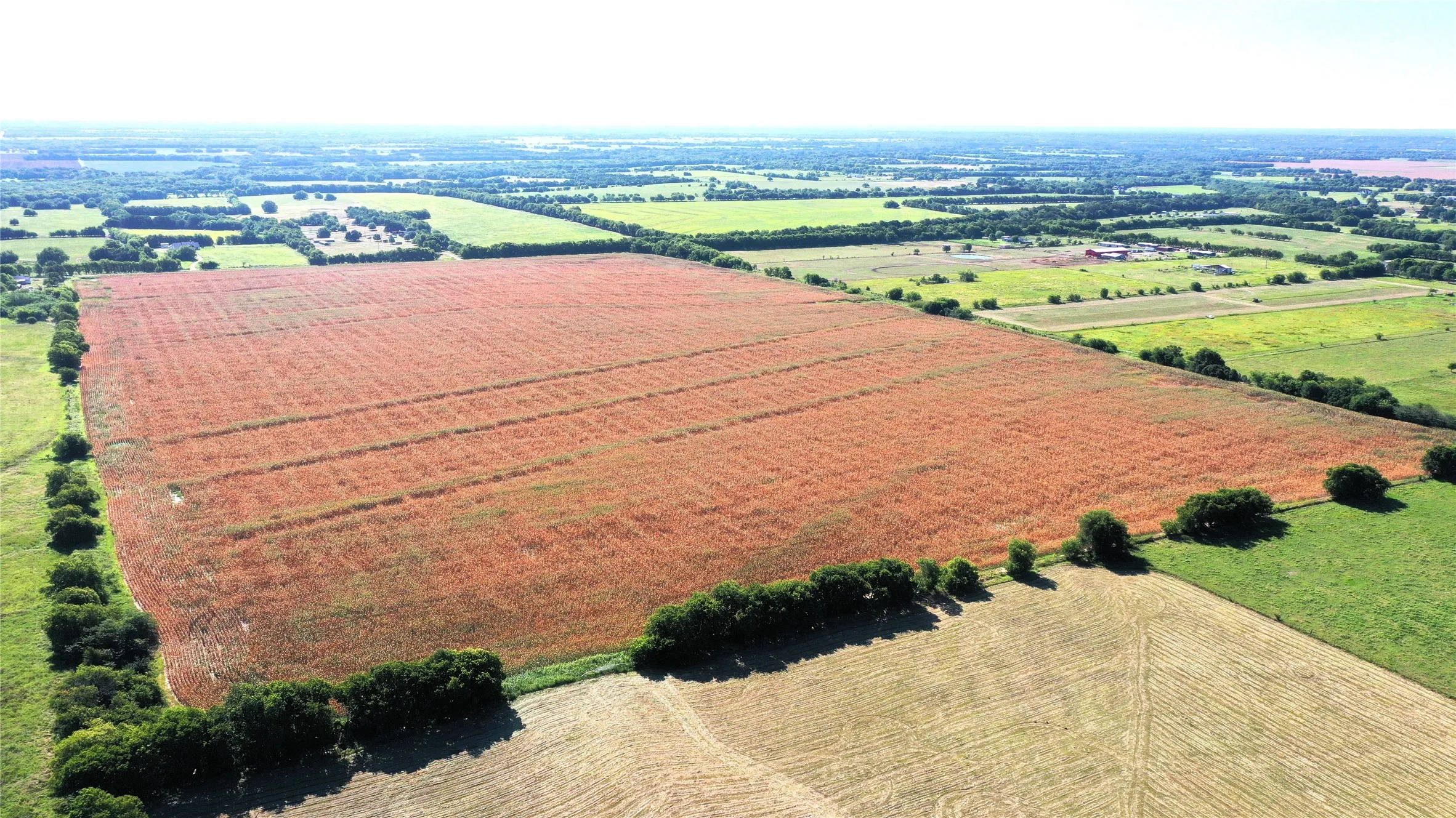 Unimproved Land For Sale in Hunt County , TBD CR 4702, Commerce, Texas 75428, 0, 0, Garage spaces, 0 Sqft, built in 0, mls#21324229, Real Estate Agent in Commerce, Homes For Sale in Hunt county, Homes For Sale in Commerce, Realtor in Commerce Texas, Real Estate Brokerage Independent Realty Texas, Luminita Cordes Realtor