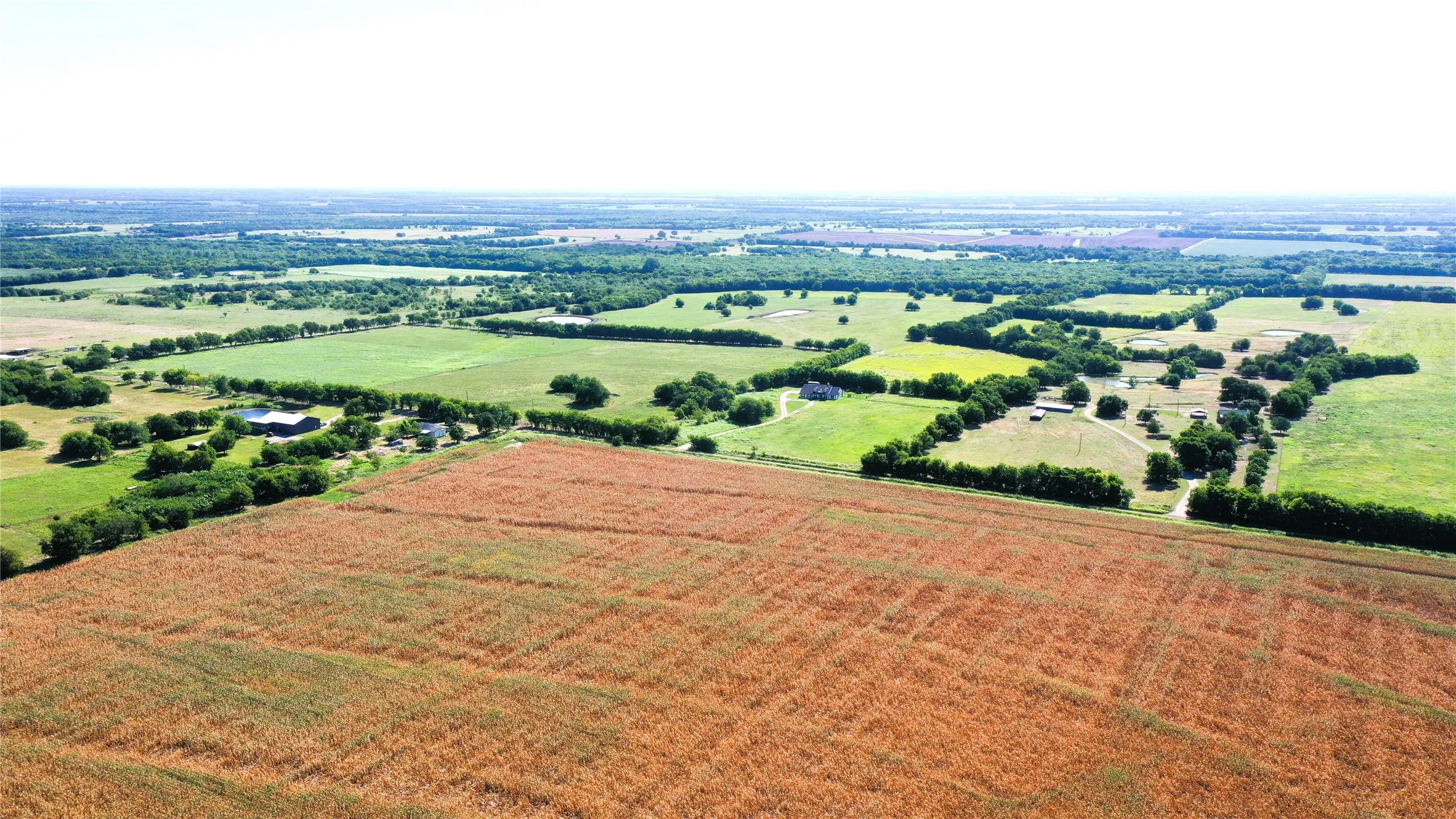 Unimproved Land For Sale in Hunt County , TBD CR 4702, Commerce, Texas 75428, 0, 0, Garage spaces, 0 Sqft, built in 0, mls#21324229, Real Estate Agent in Commerce, Homes For Sale in Hunt county, Homes For Sale in Commerce, Realtor in Commerce Texas, Real Estate Brokerage Independent Realty Texas, Luminita Cordes Realtor
