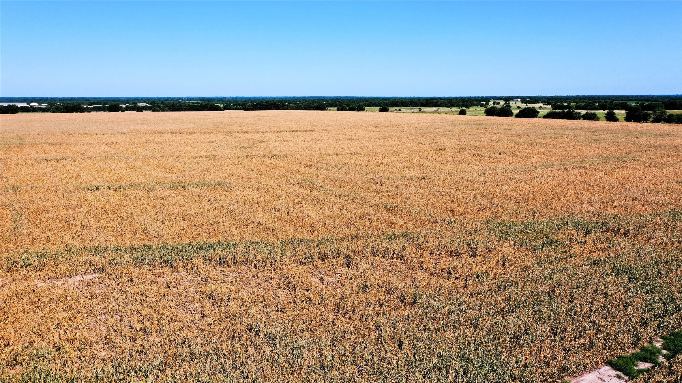 Unimproved Land For Sale in Hunt County , TBD CR 4702, Commerce, Texas 75428, 0, 0, Garage spaces, 0 Sqft, built in 0, mls#21324229, Real Estate Agent in Commerce, Homes For Sale in Hunt county, Homes For Sale in Commerce, Realtor in Commerce Texas, Real Estate Brokerage Independent Realty Texas, Luminita Cordes Realtor