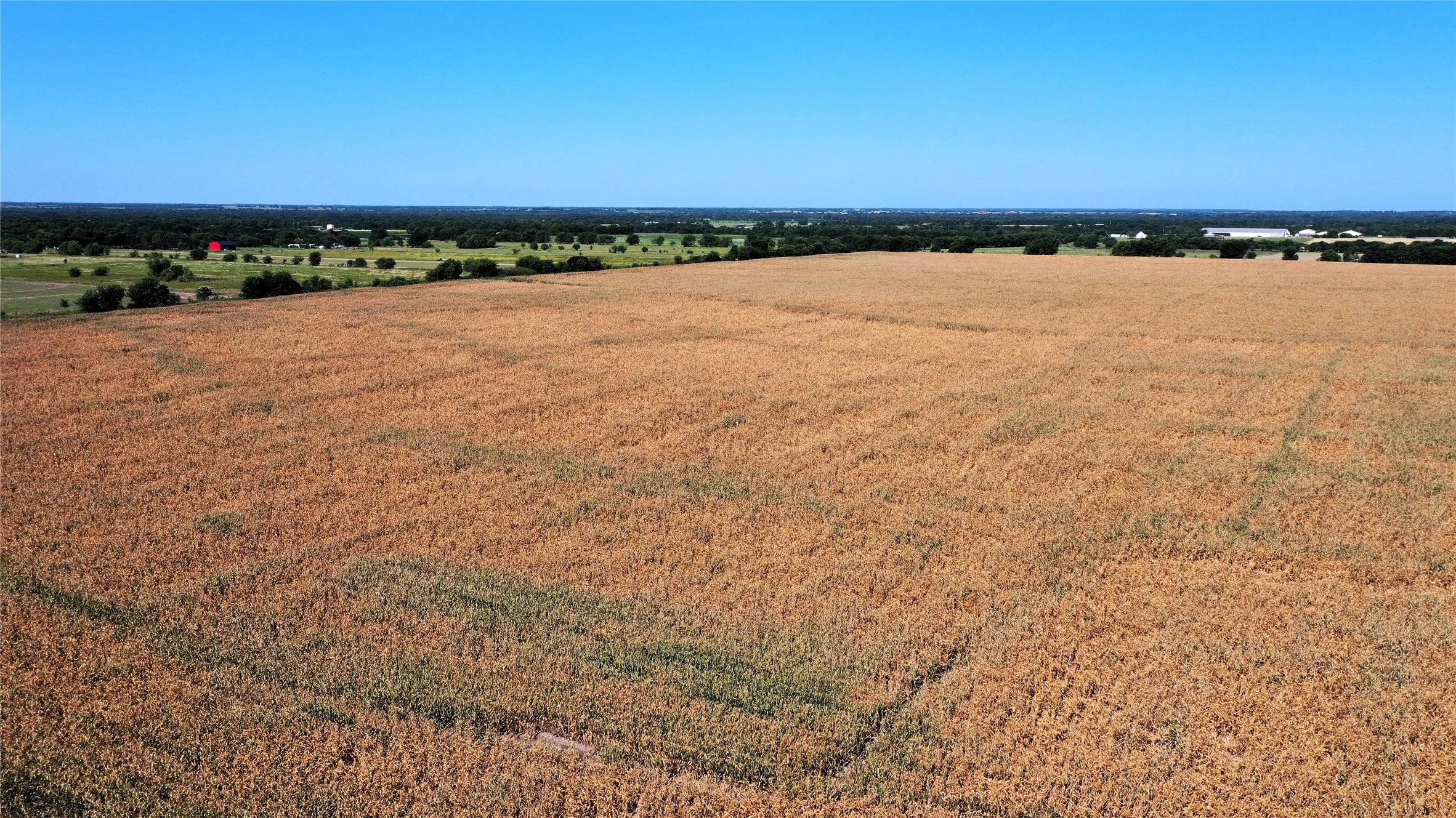 Unimproved Land For Sale in Hunt County , TBD CR 4702, Commerce, Texas 75428, 0, 0, Garage spaces, 0 Sqft, built in 0, mls#21324229, Real Estate Agent in Commerce, Homes For Sale in Hunt county, Homes For Sale in Commerce, Realtor in Commerce Texas, Real Estate Brokerage Independent Realty Texas, Luminita Cordes Realtor