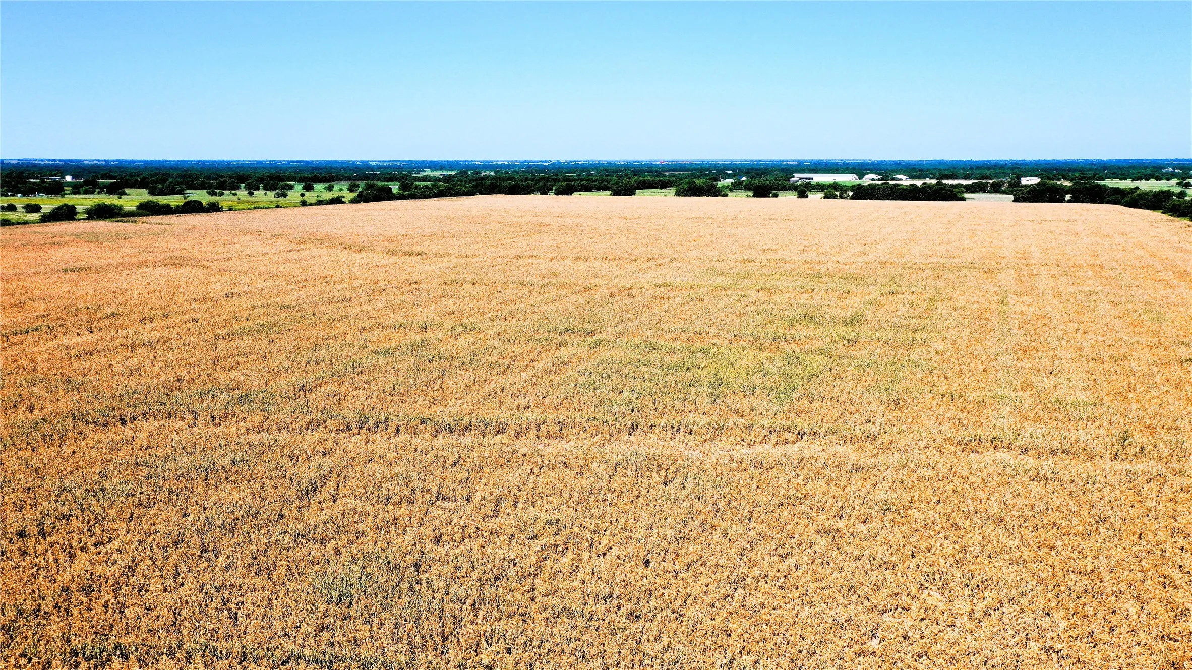 Unimproved Land For Sale in Hunt County , TBD CR 4702, Commerce, Texas 75428, 0, 0, Garage spaces, 0 Sqft, built in 0, mls#21324229, Real Estate Agent in Commerce, Homes For Sale in Hunt county, Homes For Sale in Commerce, Realtor in Commerce Texas, Real Estate Brokerage Independent Realty Texas, Luminita Cordes Realtor
