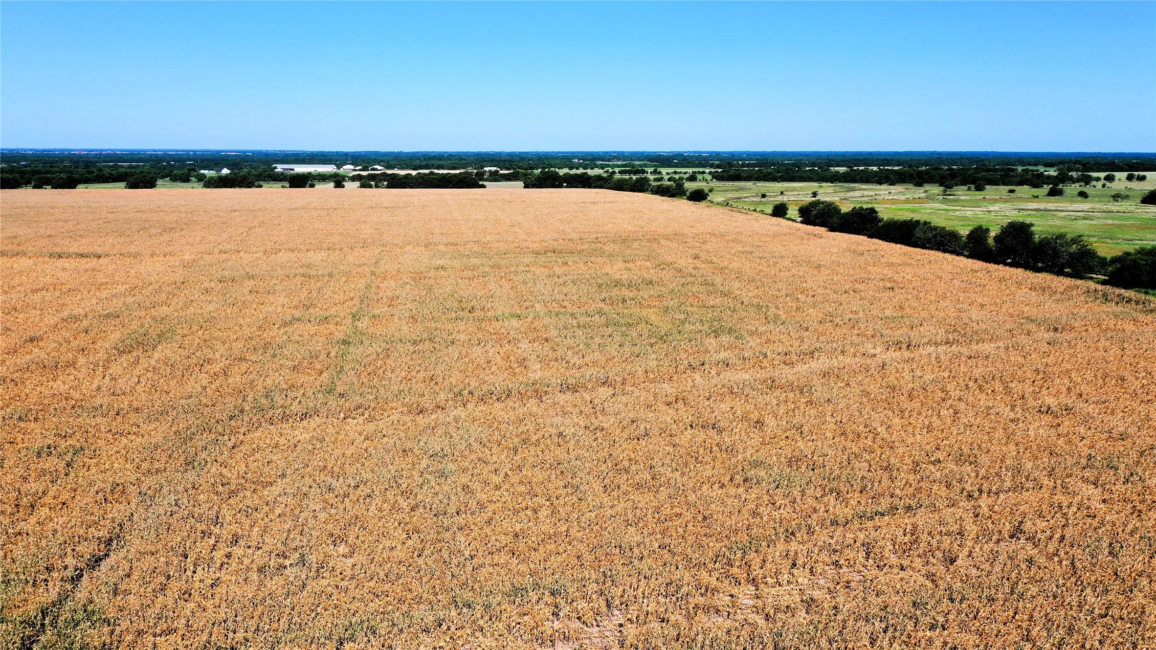 Unimproved Land For Sale in Hunt County , TBD CR 4702, Commerce, Texas 75428, 0, 0, Garage spaces, 0 Sqft, built in 0, mls#21324229, Real Estate Agent in Commerce, Homes For Sale in Hunt county, Homes For Sale in Commerce, Realtor in Commerce Texas, Real Estate Brokerage Independent Realty Texas, Luminita Cordes Realtor