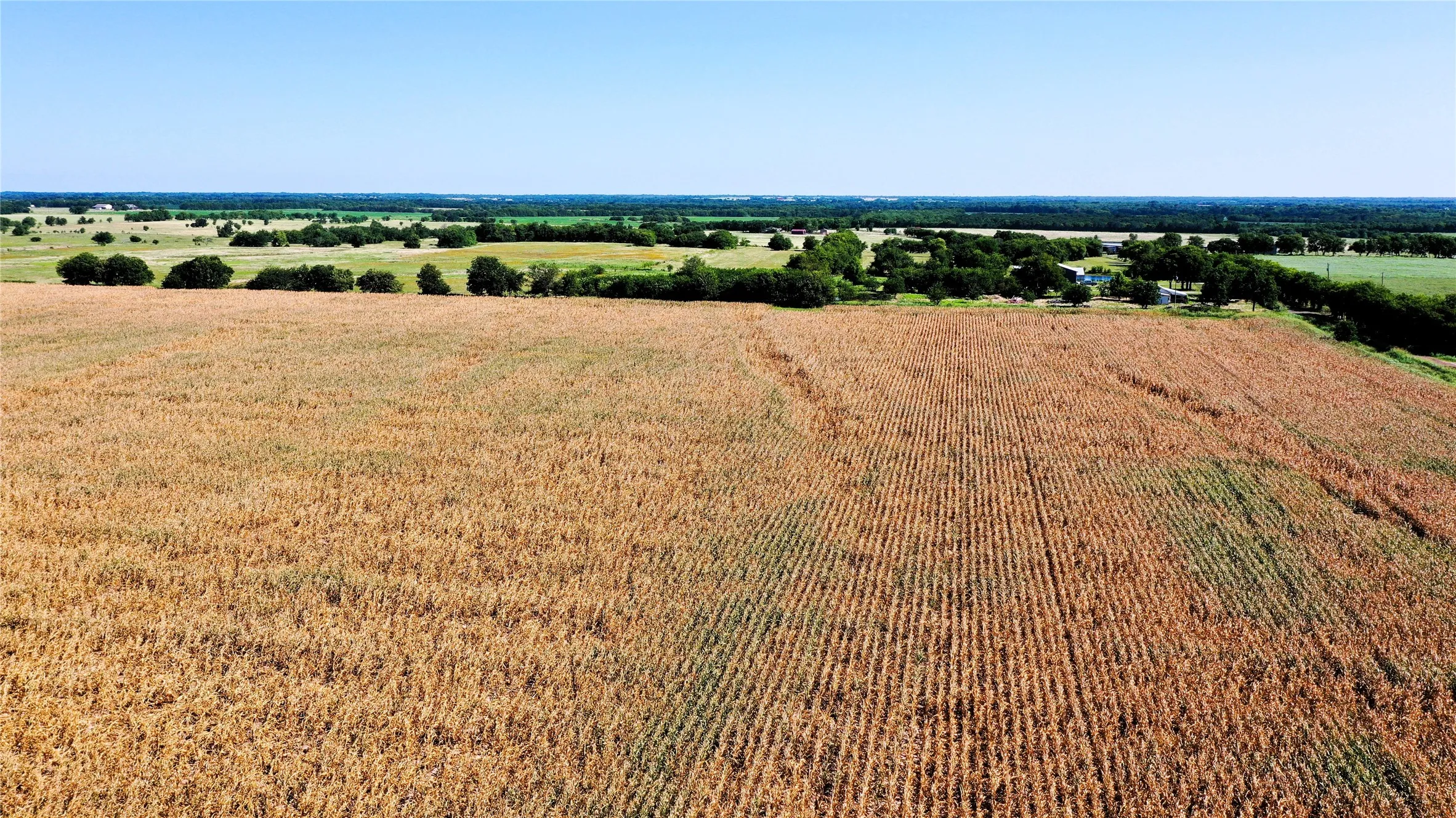 Unimproved Land For Sale in Hunt County , TBD CR 4702, Commerce, Texas 75428, 0, 0, Garage spaces, 0 Sqft, built in 0, mls#21324229, Real Estate Agent in Commerce, Homes For Sale in Hunt county, Homes For Sale in Commerce, Realtor in Commerce Texas, Real Estate Brokerage Independent Realty Texas, Luminita Cordes Realtor