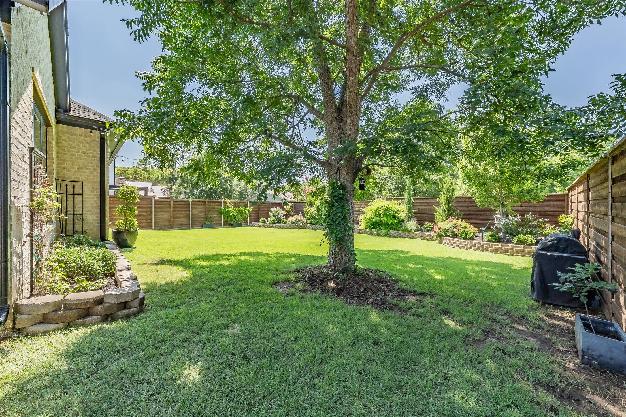Expansive backyard featuring a mature tree providing natural shade, a manicured lawn, and a privacy fence