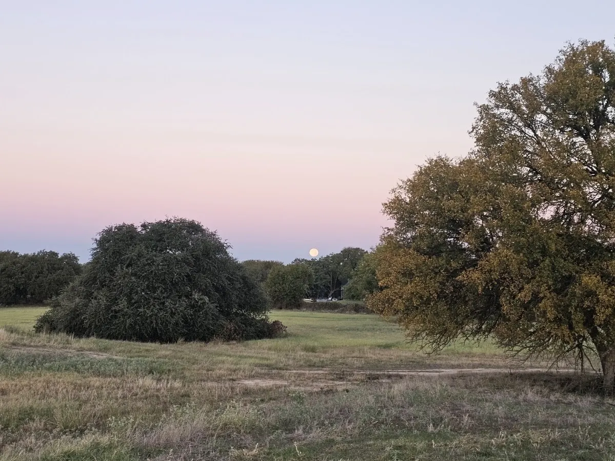 Improved Land For Sale in Parker County , 4001 Margarets Meadow, Weatherford, Texas 76087, 0, 0, Garage spaces, 0 Sqft, built in 0, mls#21327676, Real Estate Agent in Weatherford, Homes For Sale in Parker county, Homes For Sale in Weatherford, Realtor in Weatherford Texas, Real Estate Brokerage Independent Realty Texas, Luminita Cordes Realtor