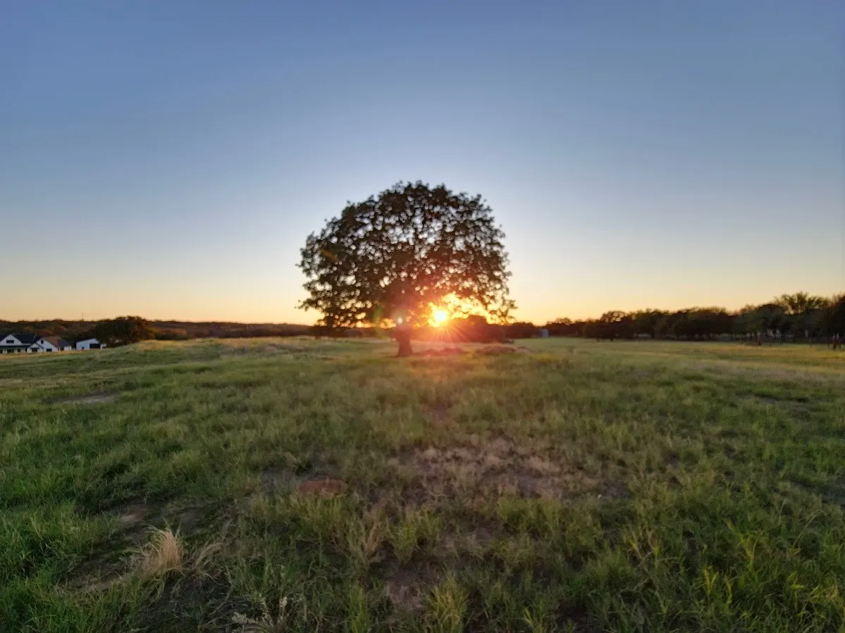 Enjoy a sunrise view from this property.